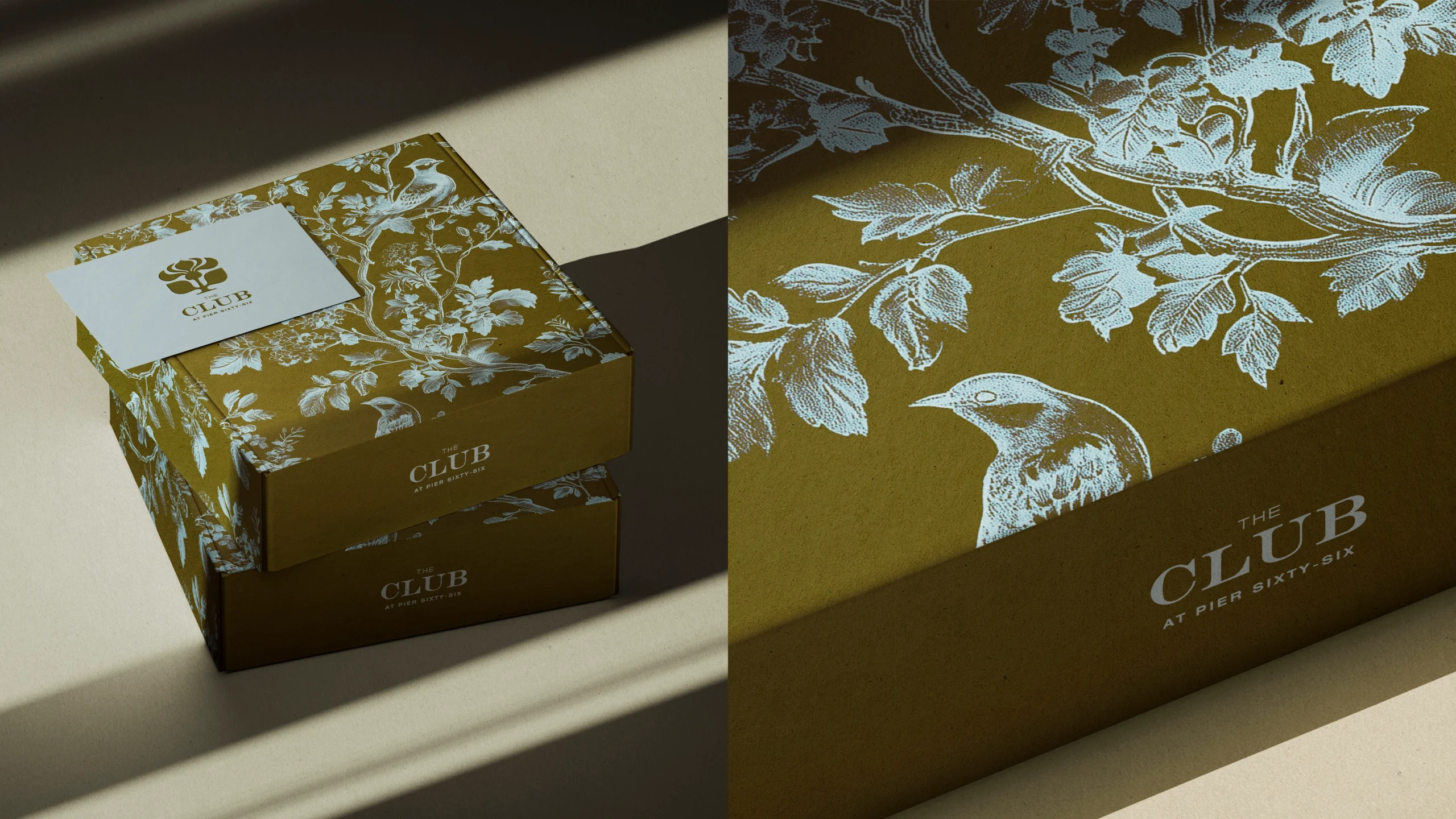 Descriptive alt text for the image