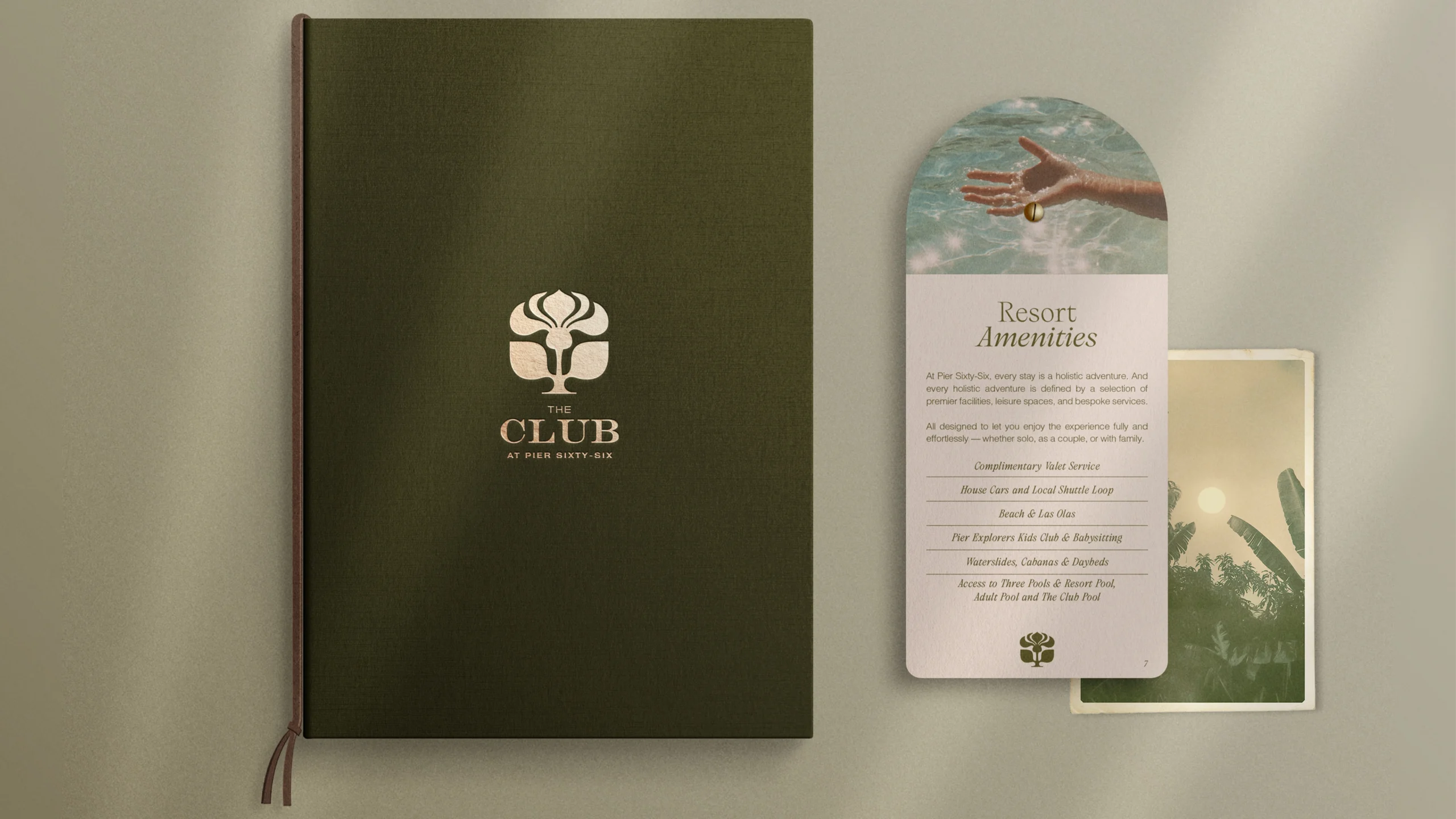 Descriptive alt text for the image